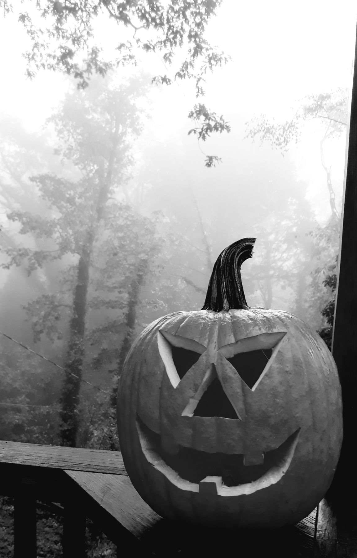 Foggy jack-o'-lantern